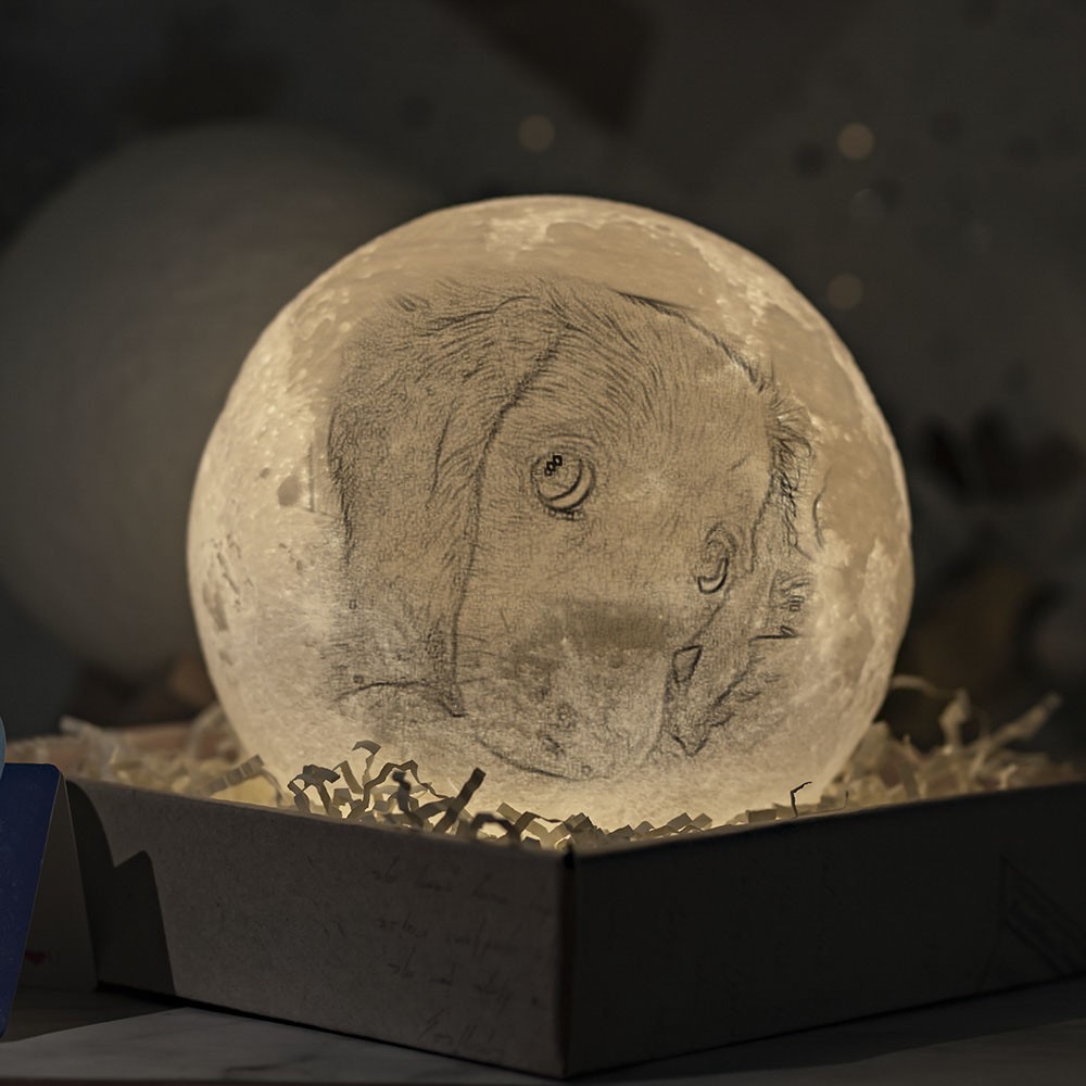 Lampe de lune personnalisée 3D Photo Moonlight Touch Home Decor pour animal de compagnie chien chat