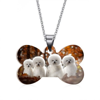 Collier photo couleur en forme d'os de chien