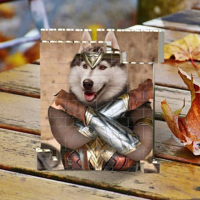 Rosefeels Bloc photo personnalisé Puzzle brique de construction souvenir pour animal de compagnie